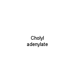 Cholyl adenylate